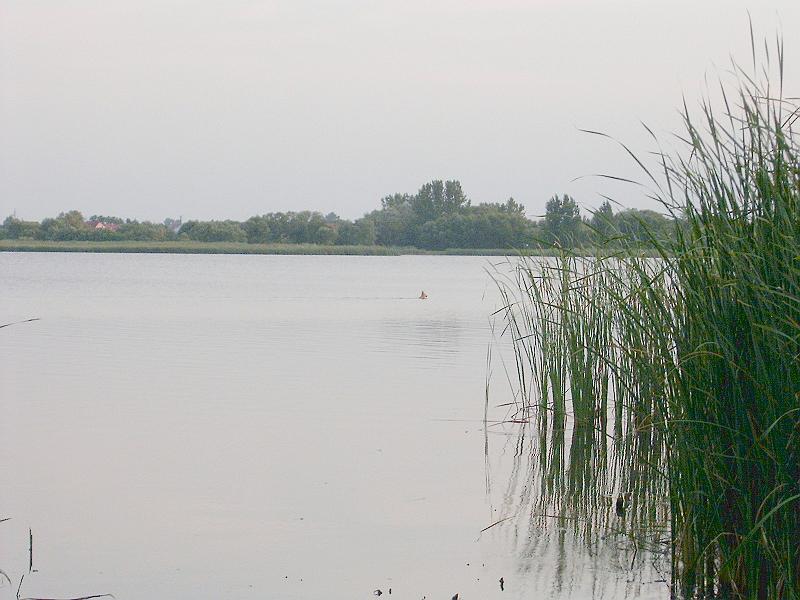 szate (091).jpg